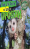 The_Life_Cycle_of_an_Opossum
