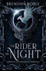 The_Rider_in_the_Night