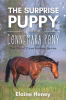 The_Surprise_Puppy_and_the_Connemara_Pony