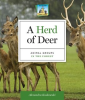 Herd_of_Deer