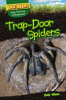 Trap-Door_Spiders