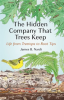 The_Hidden_Company_That_Trees_Keep