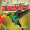 A_Bird_Watcher_s_Guide_to_Hummingbirds