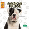 American_Bulldog