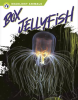 Box_Jellyfish