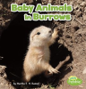 Baby_Animals_in_Burrows