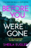 Before_You_Were_Gone