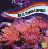 Sea_Anemones