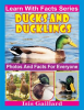 Ducks_and_Ducklings_Photos_and_Facts_for_Everyone