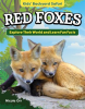 Kids__Backyard_Safari__Red_Foxes