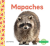 Mapaches__Raccoons_