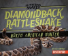 Diamondback_Rattlesnake__North_American_Hunter