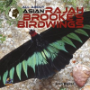 All_About_Asian_Rajah_Brooke_s_Birdwings