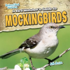 A_Bird_Watcher_s_Guide_to_Mockingbirds