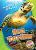 Sea_Turtles