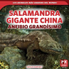 Salamandra_gigante_china__anfibio_grand__simo__Chinese_Giant_Salamander__Huge_Amphibian_