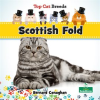 Scottish_Fold