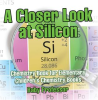A_Closer_Look_at_Silicon