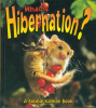 What_is_Hibernation_