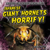Japanese_Giant_Hornets_Horrify_