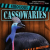 Ferocious_Cassowaries
