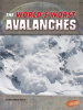 The_World_s_Worst_Avalanches