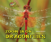 Zoom_in_on_Dragonflies
