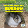 Why_Do_Animals_Burrow_Underground_