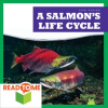 A_Salmon_s_Life_Cycle