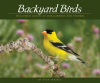 Backyard_Birds