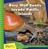 Rosy_Wolf_Snails_Invade_Pacific_Islands