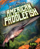 American_Paddlefish