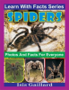 Spiders_Photos_and_Facts_for_Everyone