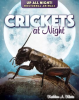 Crickets_at_Night