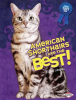 American_Shorthairs_Are_the_Best_