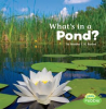 What_s_in_a_Pond_