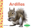 Ardillas__Squirrels_