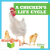 A_Chicken_s_Life_Cycle