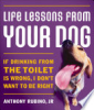 Life_Lessons_From_Your_Dog