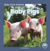Baby_Pigs
