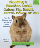 Choosing_a_Hamster__Gerbil__Guinea_Pig__Rabbit__Ferret__Mouse__or_Rat