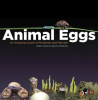 Animal_Eggs