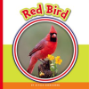 Red_Bird