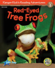 Red-Eyed_Tree_Frogs