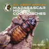 All_About_African_Madagascar_Hissing_Cockroaches