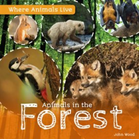 Animals_in_the_Forest