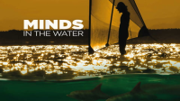 Minds_in_the_water