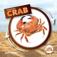 Life_Cycle_of_a_Crab