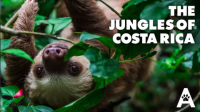 The_Jungles_of_Costa_Rica
