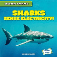 Sharks_Sense_Electricity_
